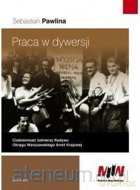Praca w dywersji - Sebastian Pawlina [KSIĄŻKA]