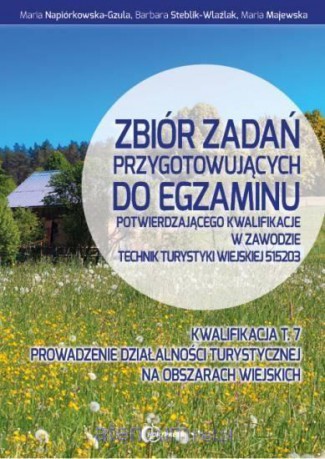 Zbiór zadań. Kwalifikacja T.7 [KSIĄŻKA]