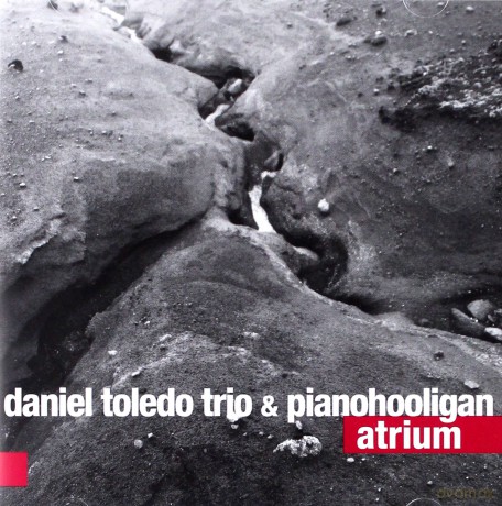 Daniel Toledo Trio With Pianohooligan: Atrium [CD]