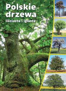 Polskie drzewa liściaste i iglaste -[KSIĄŻKA]