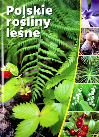 Polskie rośliny leśne -[KSIĄŻKA]