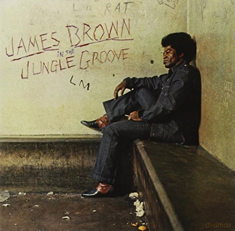 James Brown: In The Jungle Groove [CD]