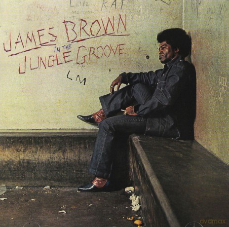 James Brown: In The Jungle Groove [CD]