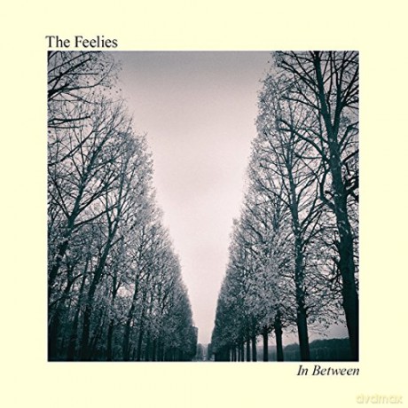 The Feelies: In Between [CD]