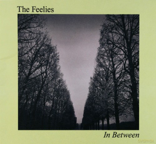 The Feelies: In Between [CD]