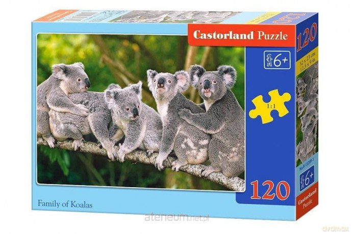 CASTOR 120 el. Rodzina Koali [PUZZLE]