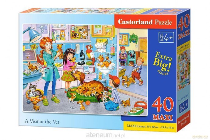CASTOR 40 el. maxi - Wizyta u weterynarza [PUZZLE]