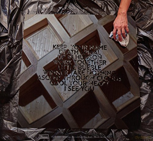 Dirty Projectors: Dirty Projectors [CD]