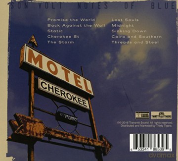 Son Volt: Notes of Blue [CD]
