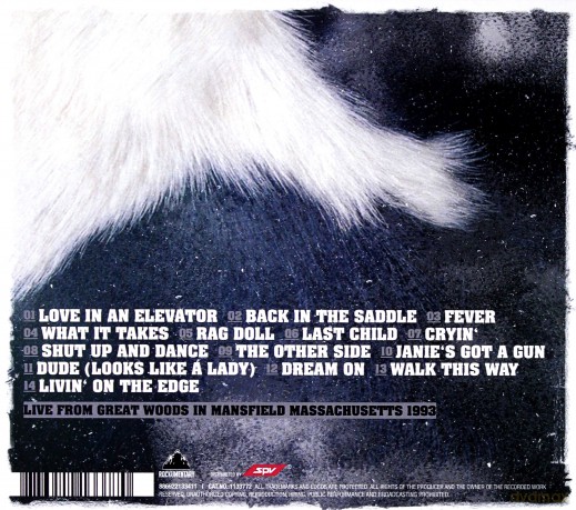 Aerosmith: Wild Live (digipack) [CD]