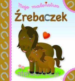 Moje maleństwo. Źrebaczek - Emilie Beaumont, Nathalie Belineau [KSIĄŻKA]