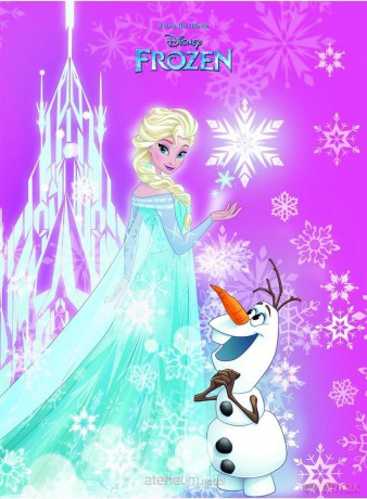 Papier kolorowy w teczce A4 Frozen
