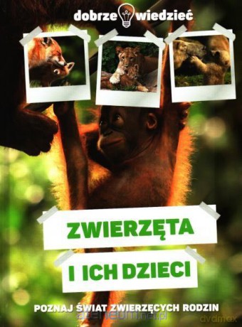Zwierzęta i ich dzieci Dobrze wiedzieć [KSIĄŻKA]
