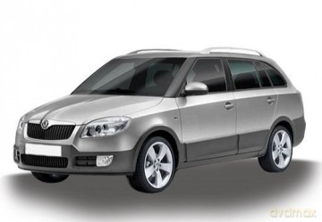Skoda Fabia Combi II 2009, grafit