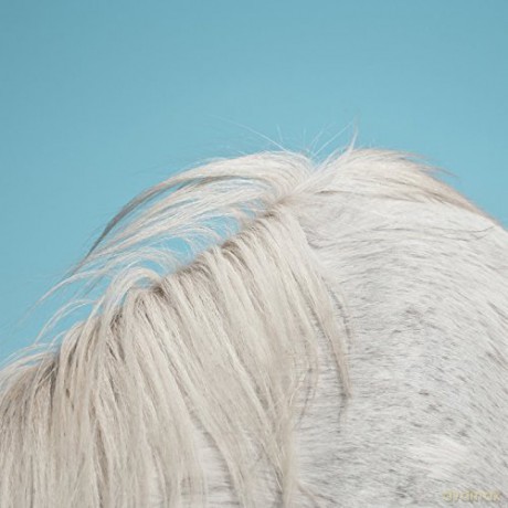 Widowspeak: All Yours [CD]