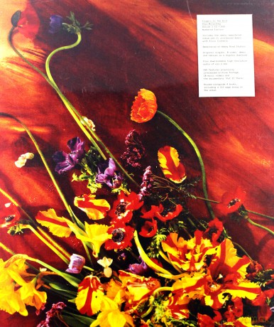 Paul Mccartney: Flowers In The Dirt (Super Deluxe) [3CD]+[DVD]