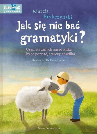 Jak się nie bać gramatyki, gramatycznych zasad kilka. By je poznać starczy chwilka - Marcin Brykczyński [KSIĄŻKA]