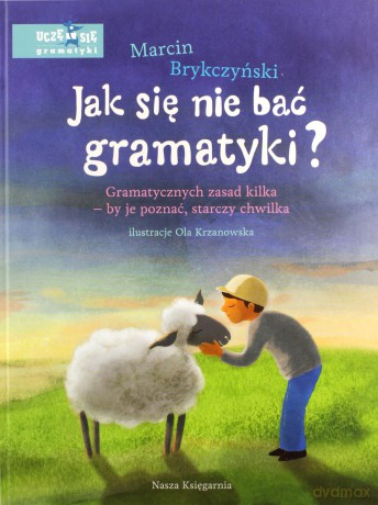 Jak się nie bać gramatyki, gramatycznych zasad kilka. By je poznać starczy chwilka - Marcin Brykczyński [KSIĄŻKA]