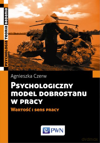 Psychologiczny model dobrostanu w pracy. Wartość i sens pracy - Agnieszka Czerw [KSIĄŻKA]