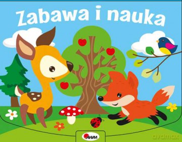 Zabawa i nauka [KSIĄŻKA]