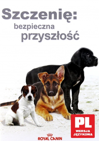 Szczenię: Bezpieczna Przyszłość [DVD]