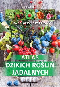 Atlas dzikich roślin jadalnych - Monika Fijołek [KSIĄŻKA]