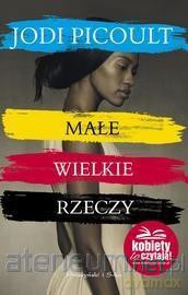 Małe wielkie rzeczy [KSIĄŻKA]