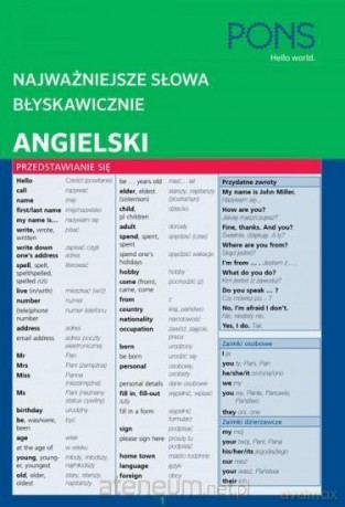 Najważniejsze słowa błyskawicznie. Angielski [KSIĄŻKA]