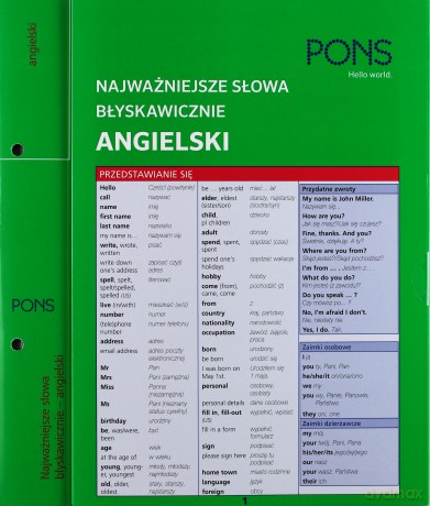 Najważniejsze słowa błyskawicznie. Angielski [KSIĄŻKA]