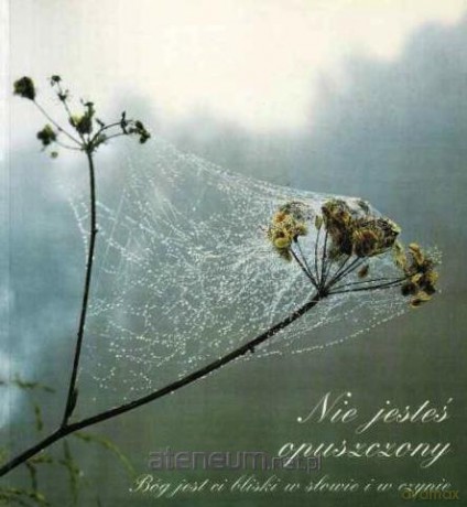 Nie jesteś opuszczony [KSIĄŻKA]