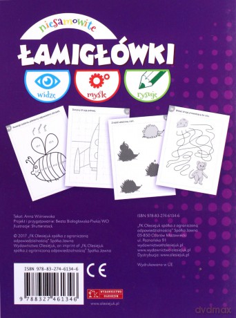 Niesamowite łamigłówki - Anna Wiśniewska [KSIĄŻKA]