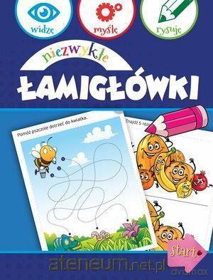 Niezwykłe łamigłówki - Anna Wiśniewska [KSIĄŻKA]