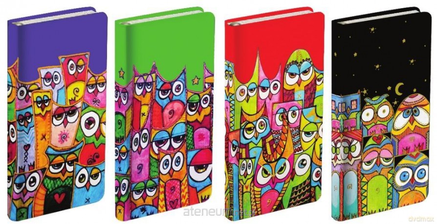 Notatnik midi Owls&City MIX