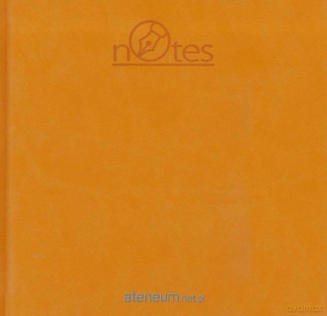 Notes TRIO-2 (NT-8) pomarańczowy