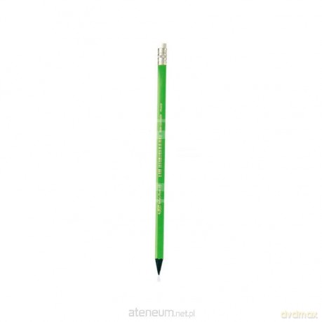 Ołówek Evolution Fluo z gumką (12 szt)