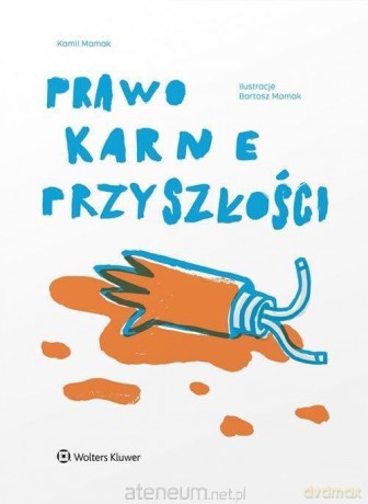 Prawo karne przyszłości - Kamil Mamak [KSIĄŻKA]