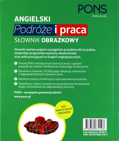 Słownik obrazkowy. Podróże i praca - Angielski [KSIĄŻKA]