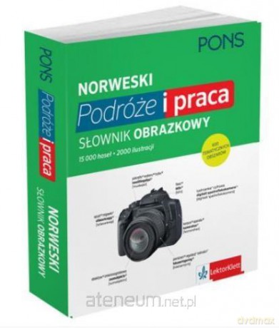 Słownik obrazkowy. Podróże i praca - Norweski [KSIĄŻKA]