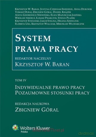 System Prawa Pracy (Tom 4) Indywidualne prawo pracy [KSIĄŻKA]