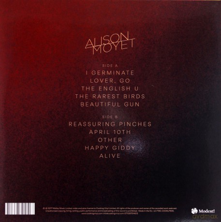 Alison Moyet: Other [Winyl]