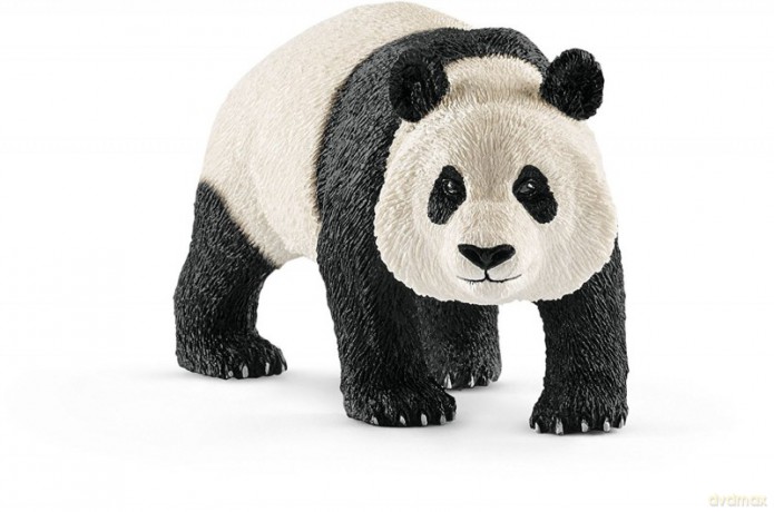 Panda wielki samiec [FIGURKA]