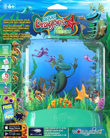 Sea friends. Zestaw podstawowy