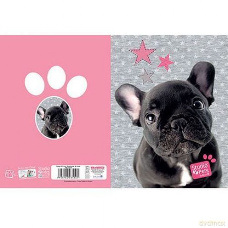 Zeszyt A5 32k kratka Studio pets