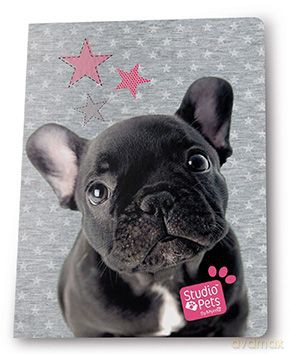 Zeszyt A5 32k linia Studio pets