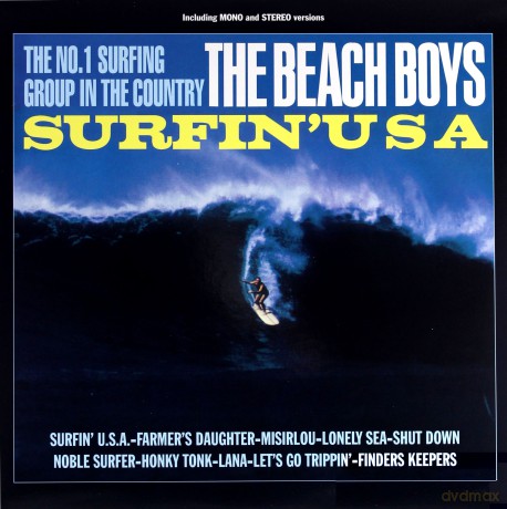 Beach Boys: Surfin' USA [Winyl]