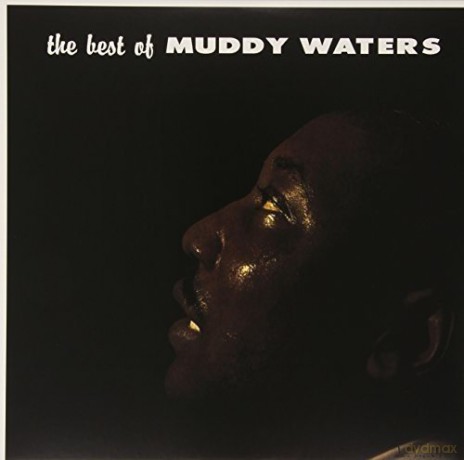 Muddy Waters: The Best Of Muddy Waters [Winyl]
