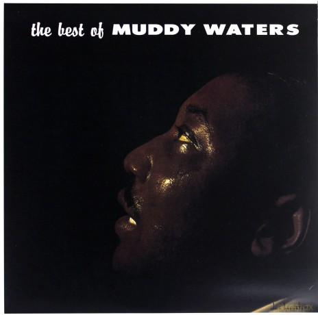 Muddy Waters: The Best Of Muddy Waters [Winyl]