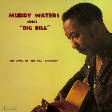 Muddy Waters: Muddy Waters Sings Big Bill [Winyl]