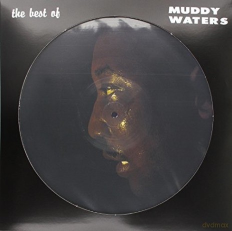 Muddy Waters: The Best Of Muddy Waters [Winyl]