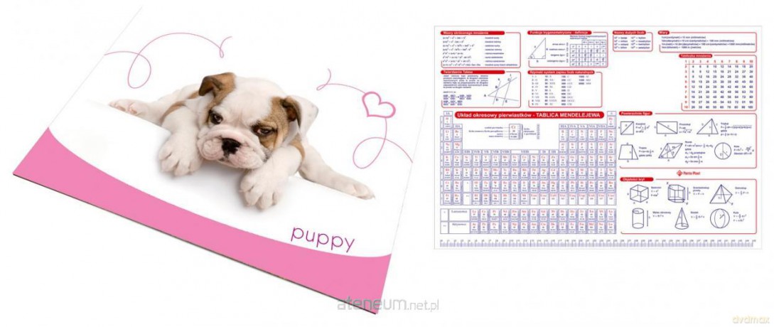 Mata mała dwustronna z nadrukiem Puppy
